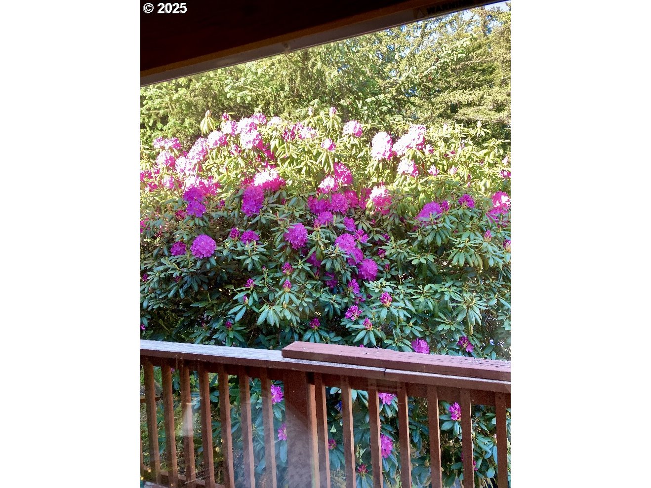 19921 Whaleshead Road, Unit B2 Brookings, OR 97415 - Photo 32 of 41 a view of a bench in the center
