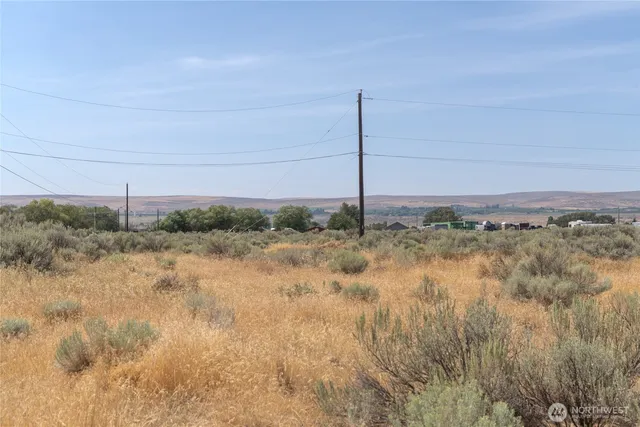 a view of a dry yard with green space