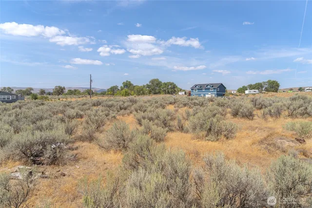 a view of a dry yard with lots of bushes