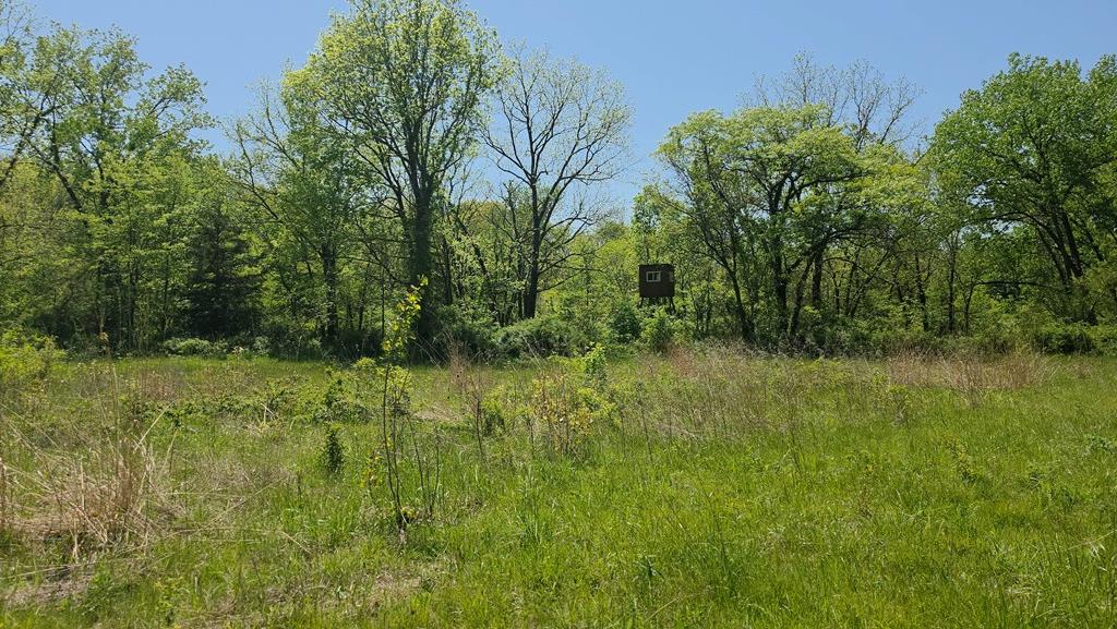 0 Private Road Livonia, MO 63551 - Photo 7 of 81 Gallery Image 7