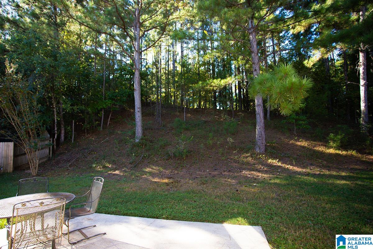 116 Wixford Way Alabaster, AL 35007 - Photo 4 of 35