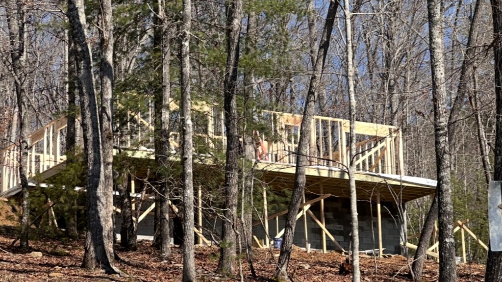 39 Moon Howler Drive Murphy, NC 28906 - Photo 12 of 37