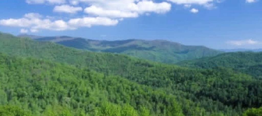 39 Moon Howler Drive Murphy, NC 28906 - Photo 27 of 37