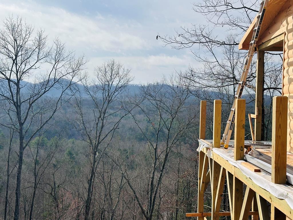 39 Moon Howler Drive Murphy, NC 28906 - Photo 28 of 37