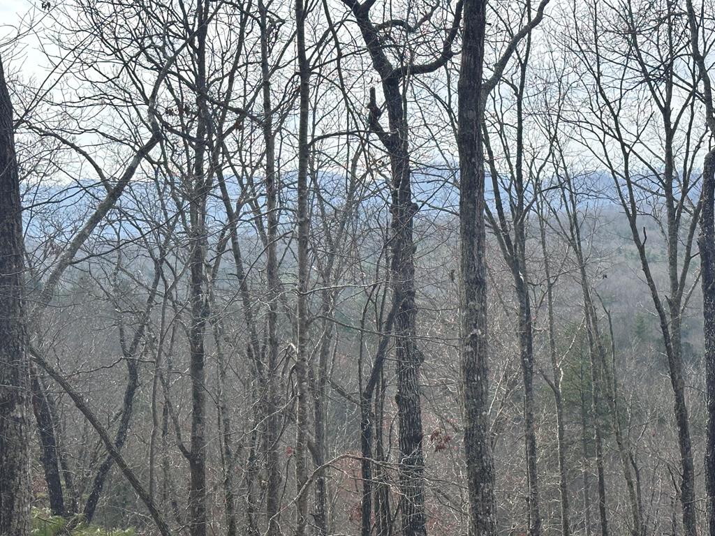 39 Moon Howler Drive Murphy, NC 28906 - Photo 31 of 37