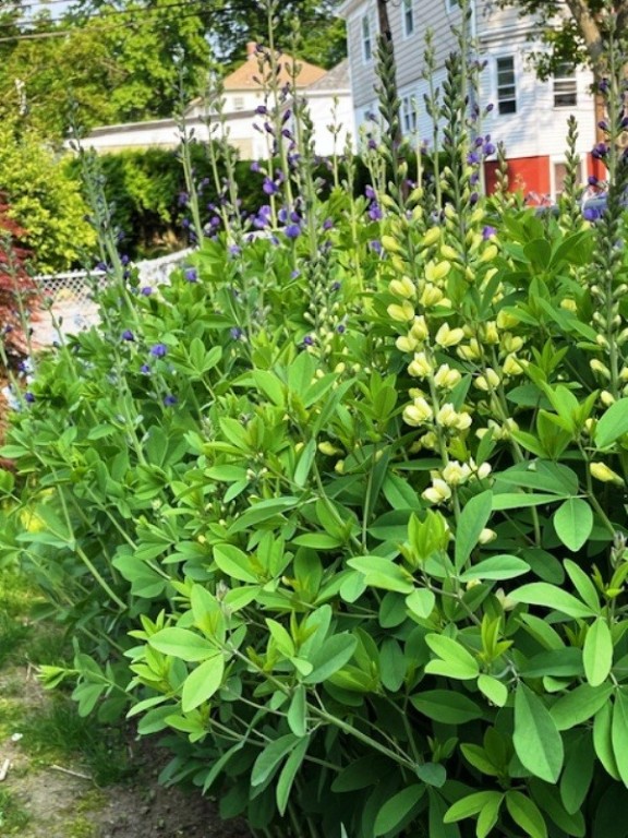 201 Sisson Street Providence, RI 02909 - Photo 22 of 28 Gallery Image 22