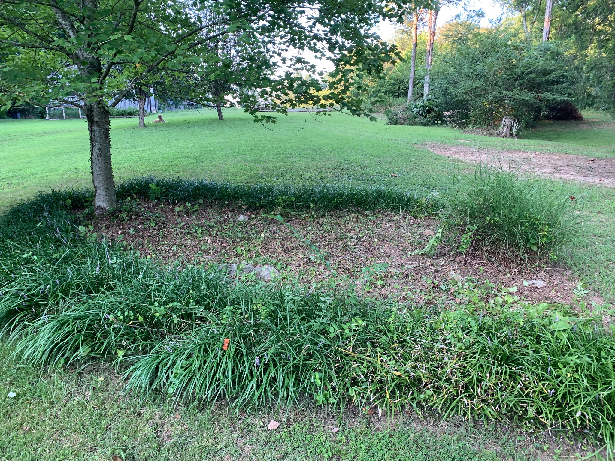7061 East Plunders Creek Road Dickson, TN 37055 - Photo 11 of 60