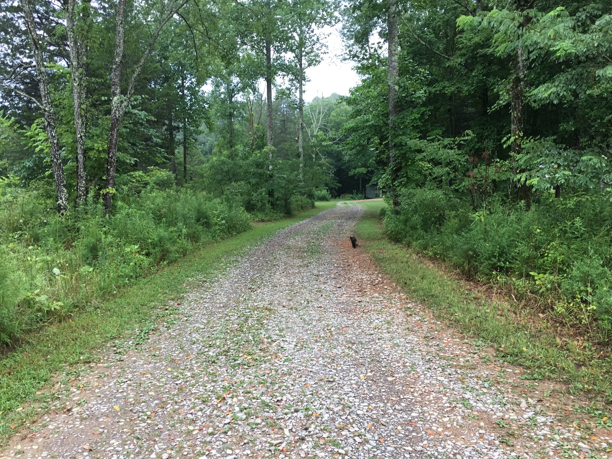 7061 East Plunders Creek Road Dickson, TN 37055 - Photo 23 of 60