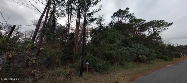 a view of a forest