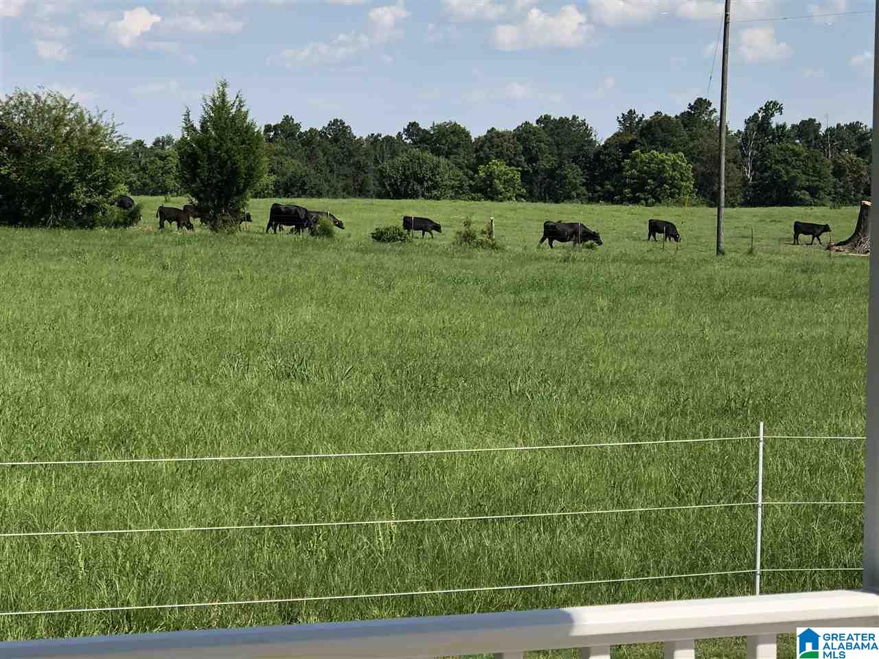 472 County Road 99 Verbena, AL 36091 - Photo 3 of 49