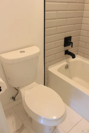 a bathroom with a toilet and a bathtub