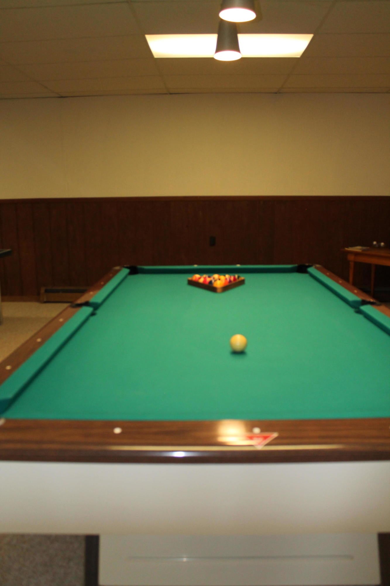 11200 Lake 15 Road Atlanta, MI 49709 - Photo 39 of 74 Gallery Image 39