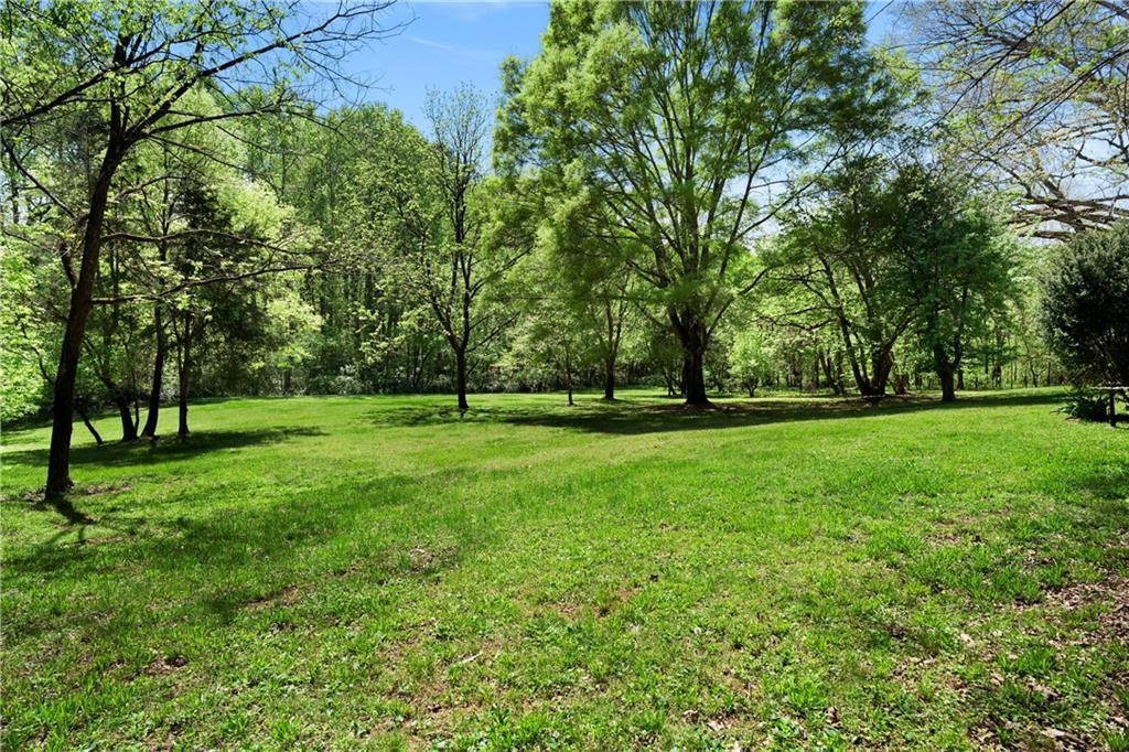 281 Highway 293 Cartersville, GA 30120 - Photo 8 of 97