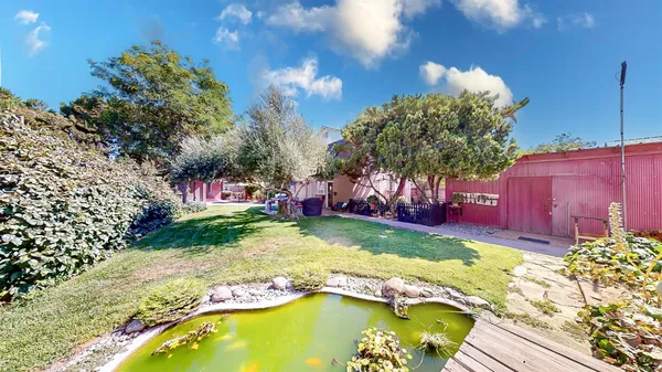 a view of a tree in front of a house