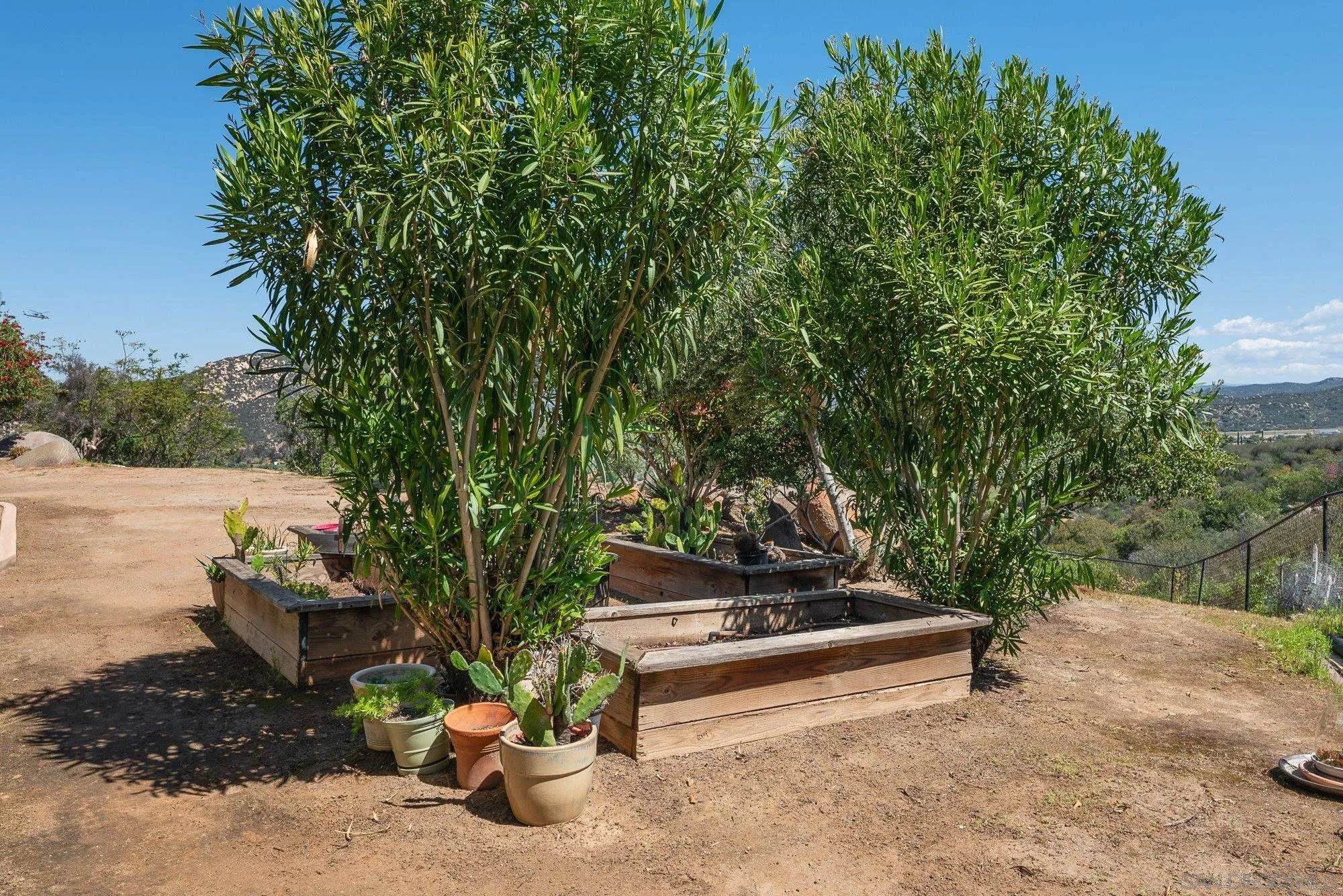 424 Sky Mesa Road Alpine, CA 91901 - Photo 71 of 75 a view of a bench in a backyard of a house