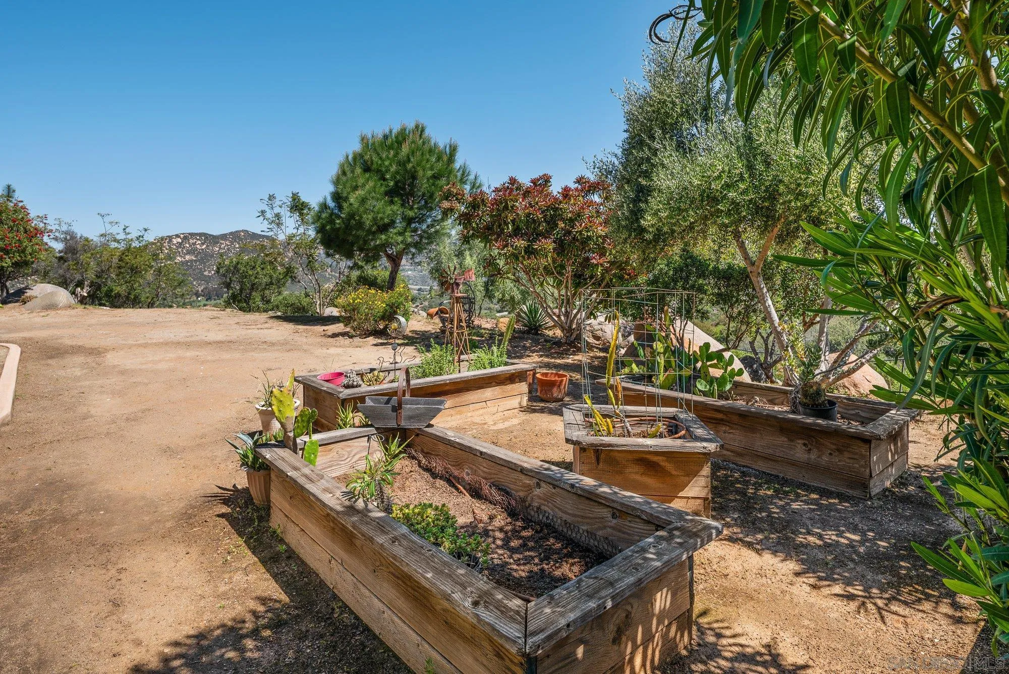424 Sky Mesa Road Alpine, CA 91901 - Photo 72 of 75 a view of a backyard with chairs and potted plants
