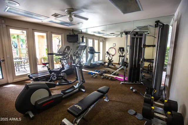 a view of a backyard with a garden and trees