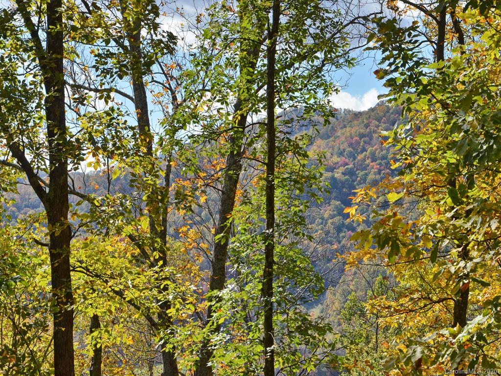 281 Grouse Road Clyde, NC 28721 - Photo 27 of 43