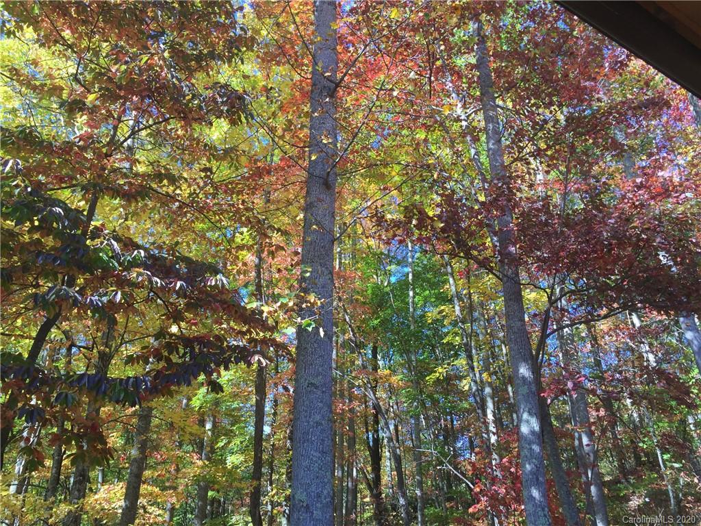 281 Grouse Road Clyde, NC 28721 - Photo 35 of 43