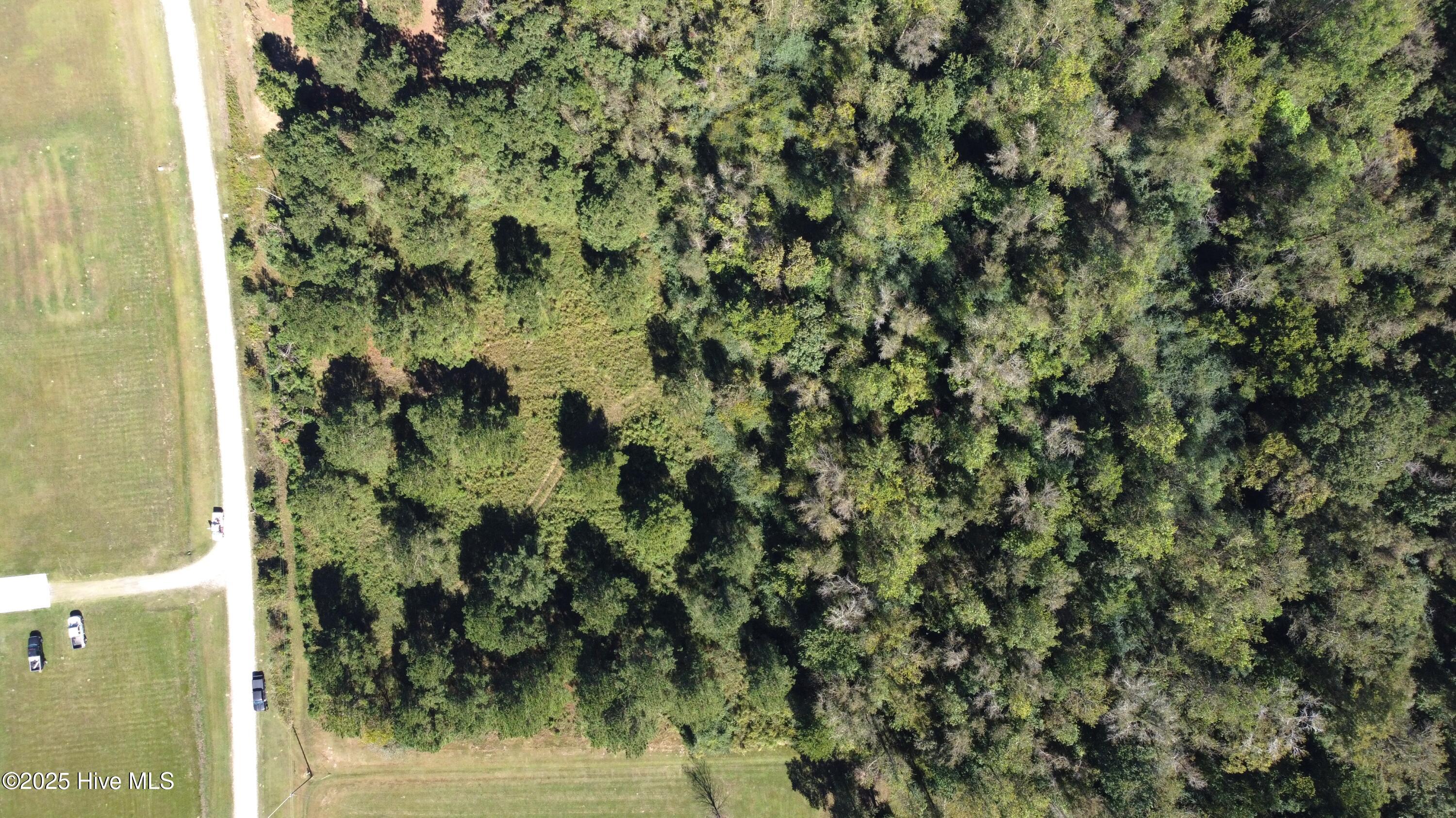 Lot #11 Upland Road Willard, NC 28478 - Photo 15 of 15 Derek Waatti Real Estate Upland Land for