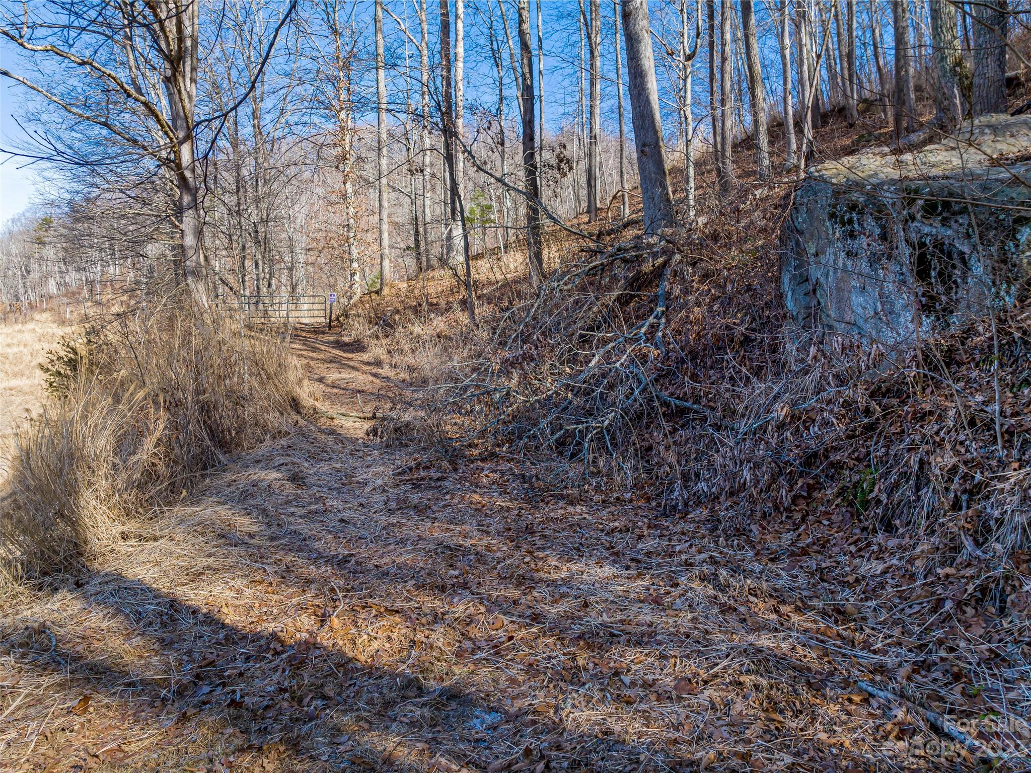 1592-1370 Bone Camp Road Marshall, NC 28753 - Photo 11 of 48