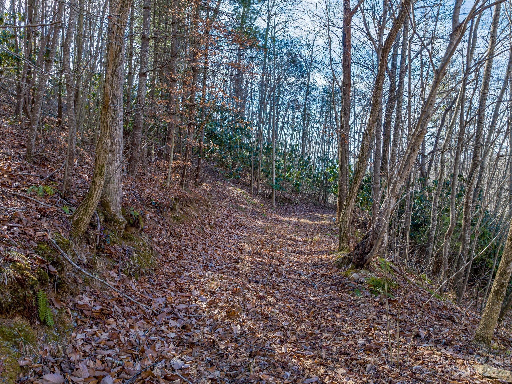 1592-1370 Bone Camp Road Marshall, NC 28753 - Photo 13 of 48