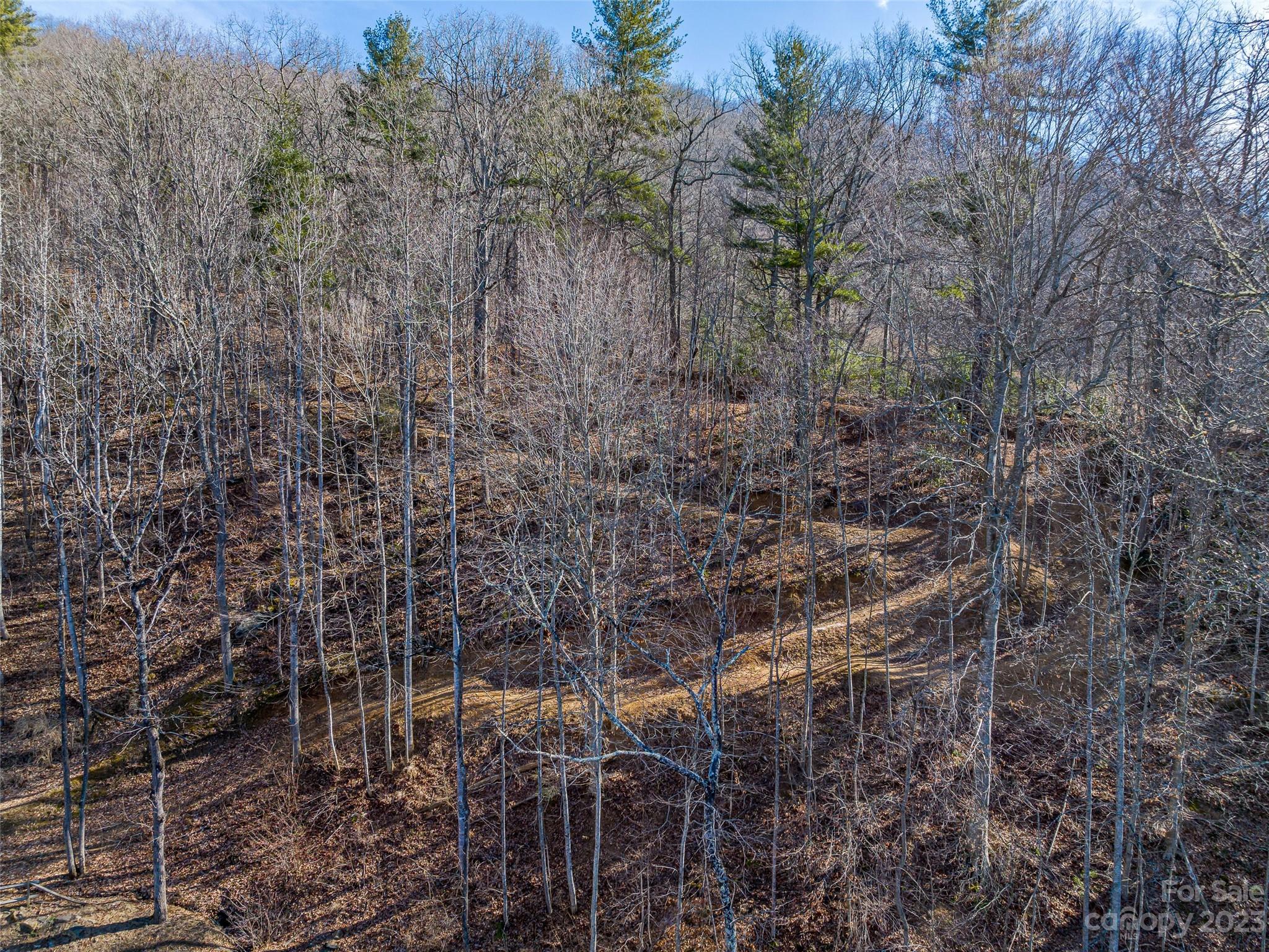 1592-1370 Bone Camp Road Marshall, NC 28753 - Photo 15 of 48