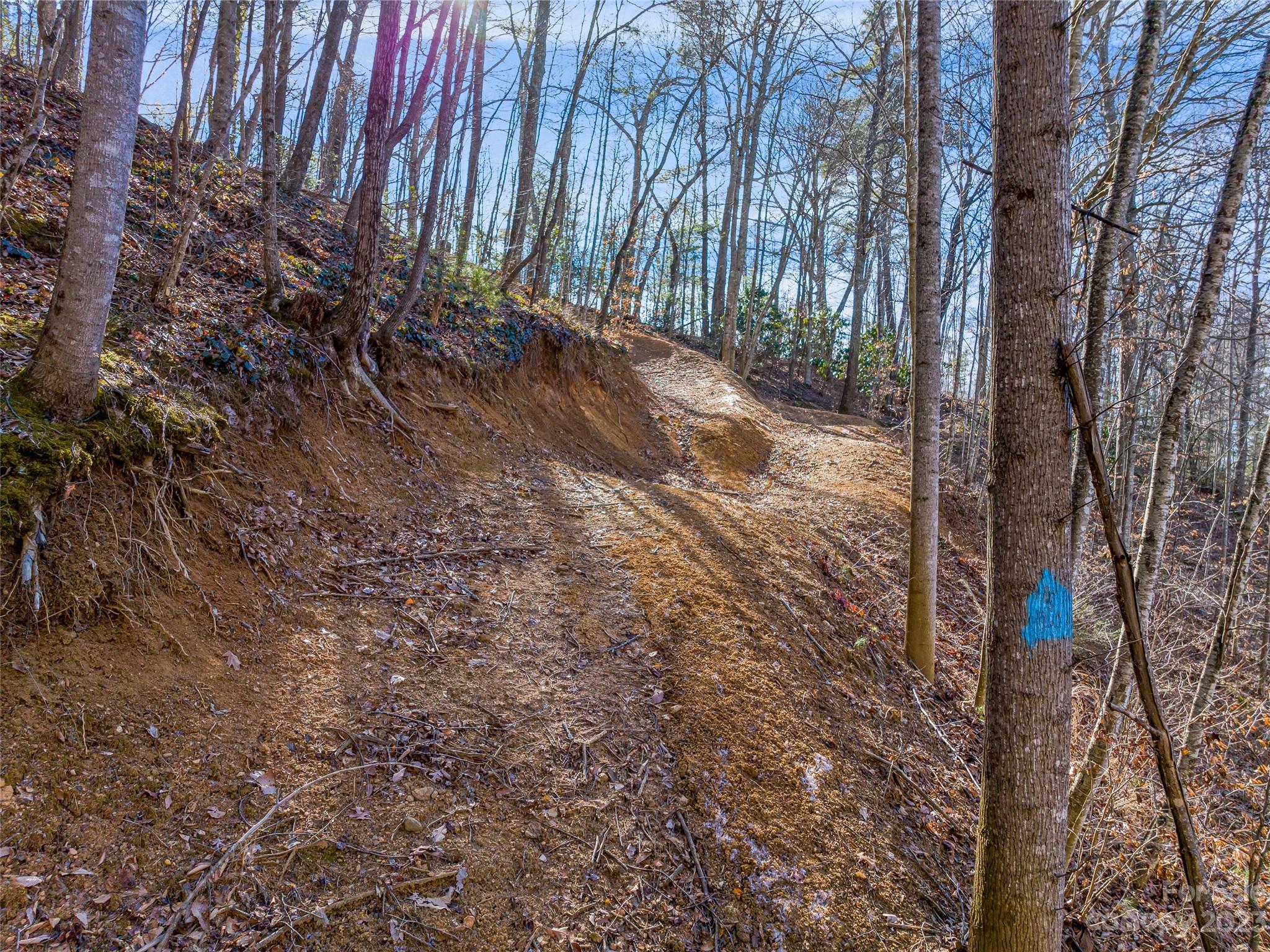 1592-1370 Bone Camp Road Marshall, NC 28753 - Photo 16 of 48