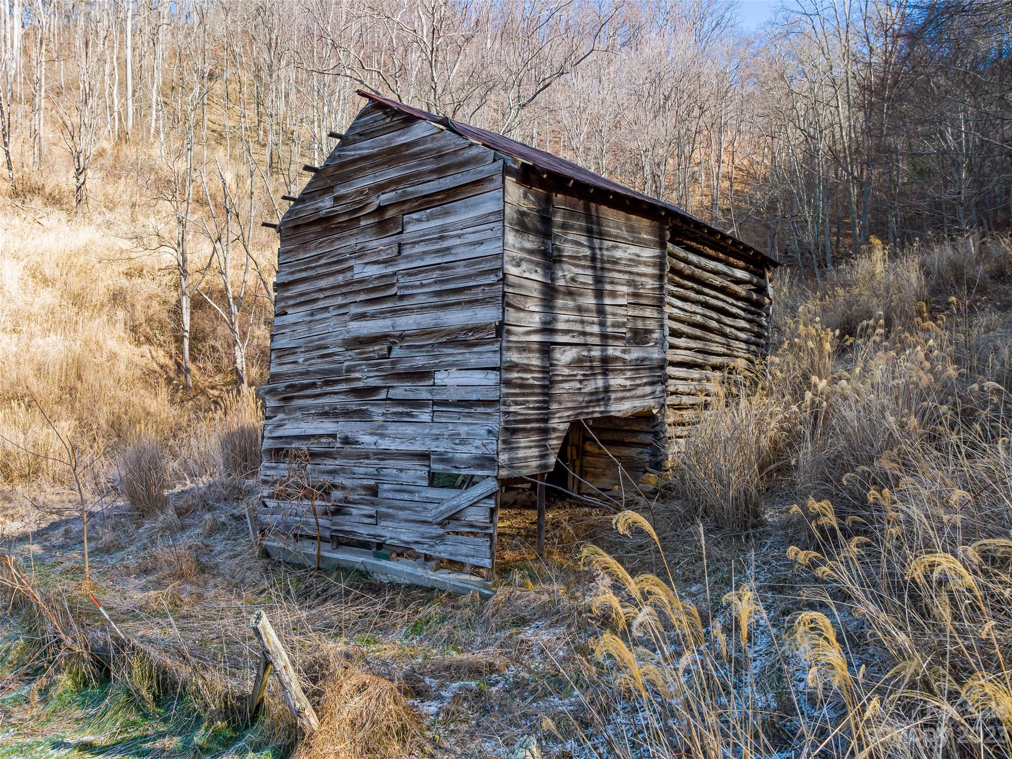 1592-1370 Bone Camp Road Marshall, NC 28753 - Photo 17 of 48