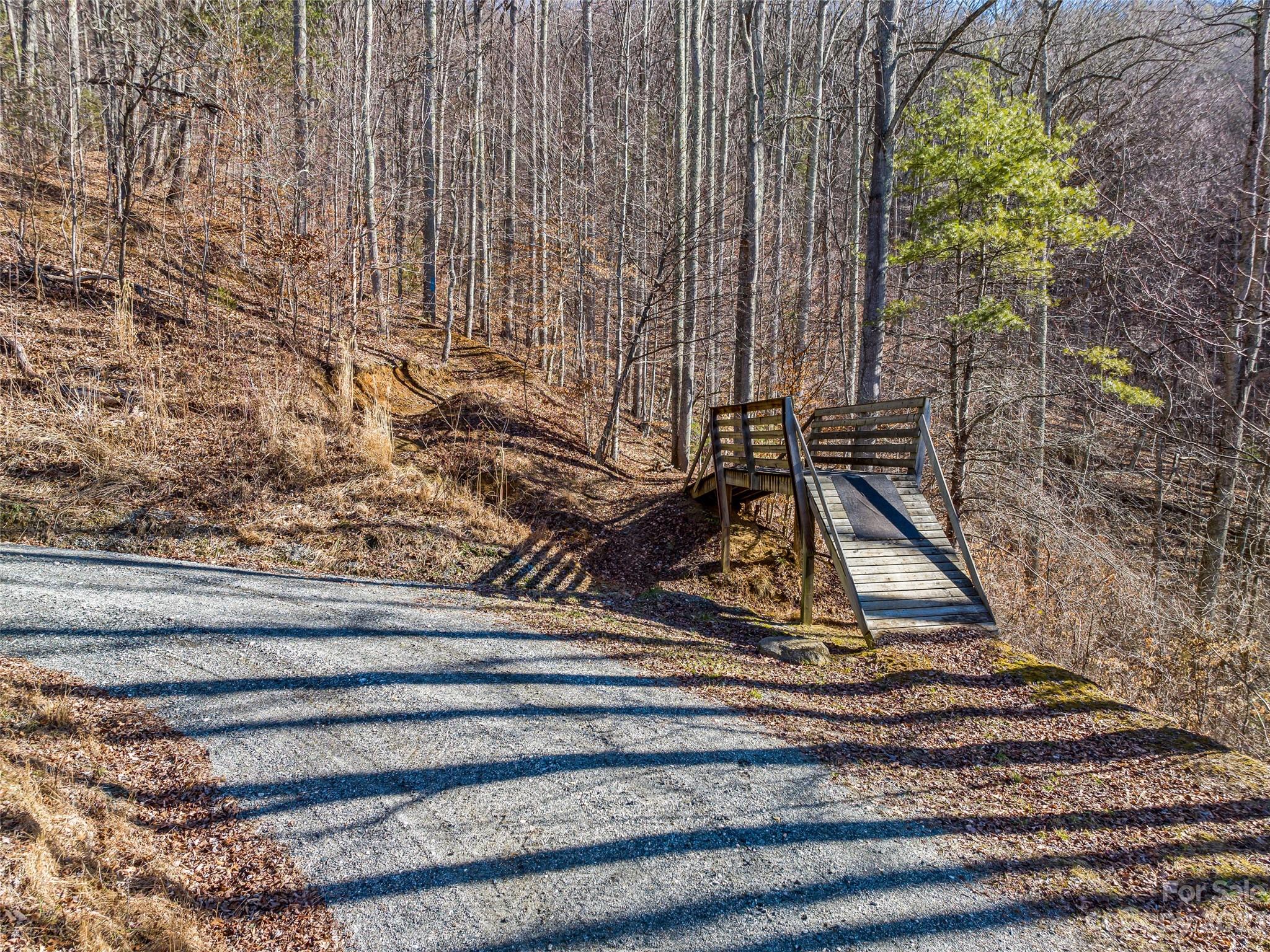 1592-1370 Bone Camp Road Marshall, NC 28753 - Photo 18 of 48