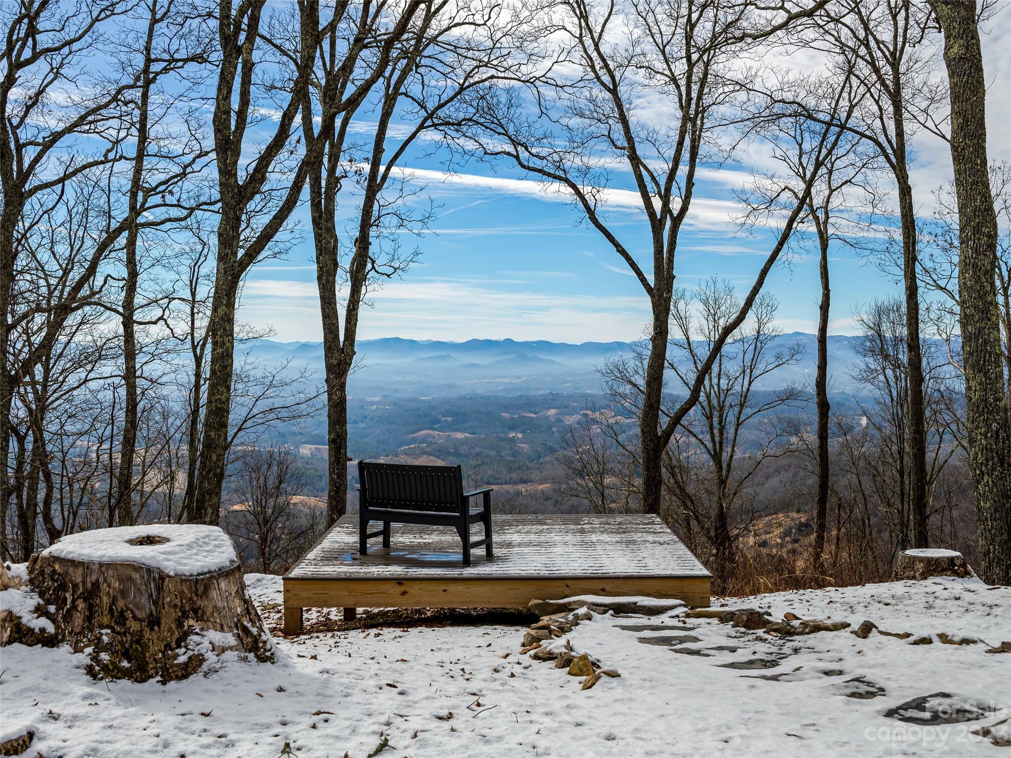 1592-1370 Bone Camp Road Marshall, NC 28753 - Photo 2 of 48