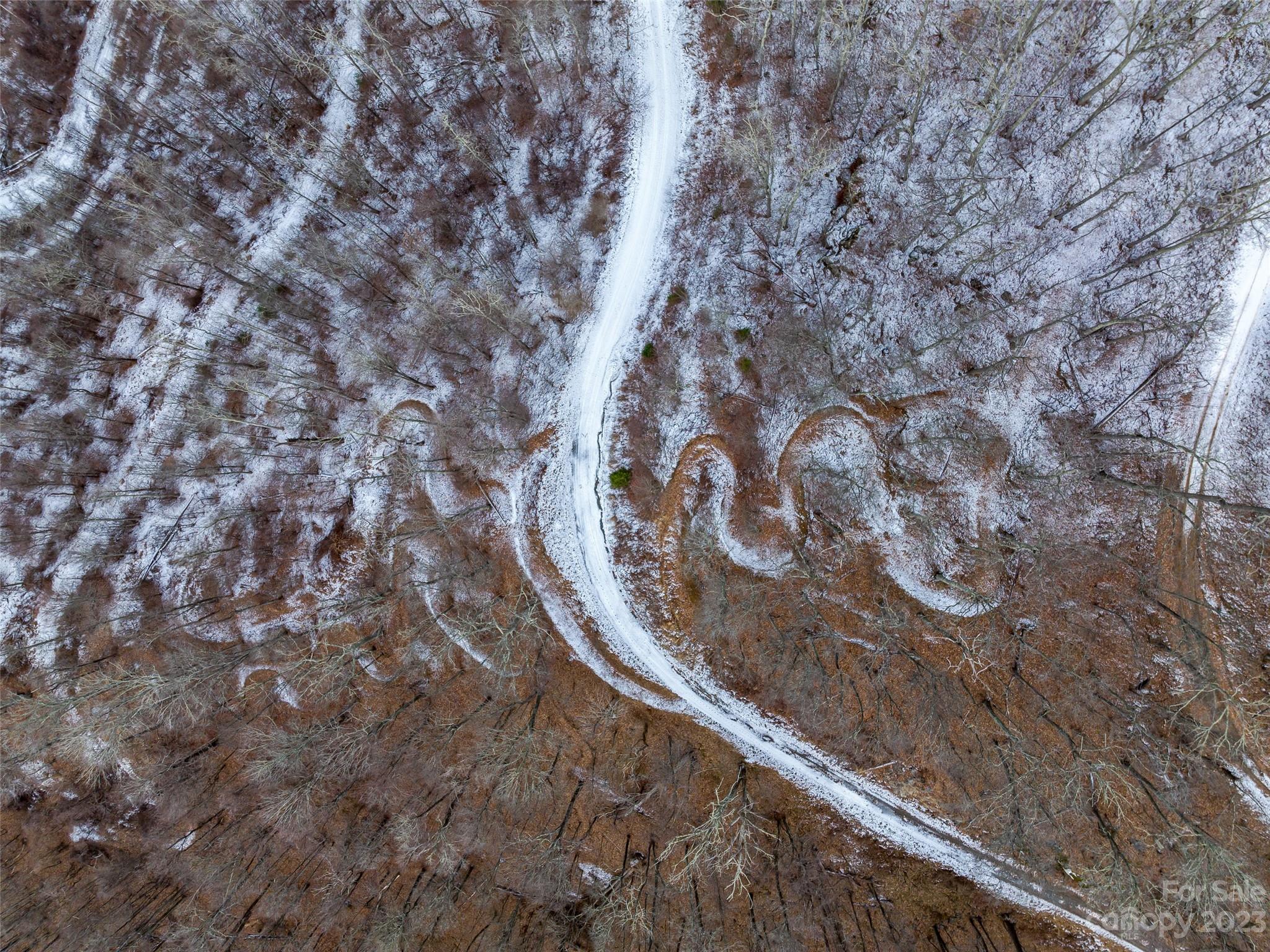 1592-1370 Bone Camp Road Marshall, NC 28753 - Photo 31 of 48