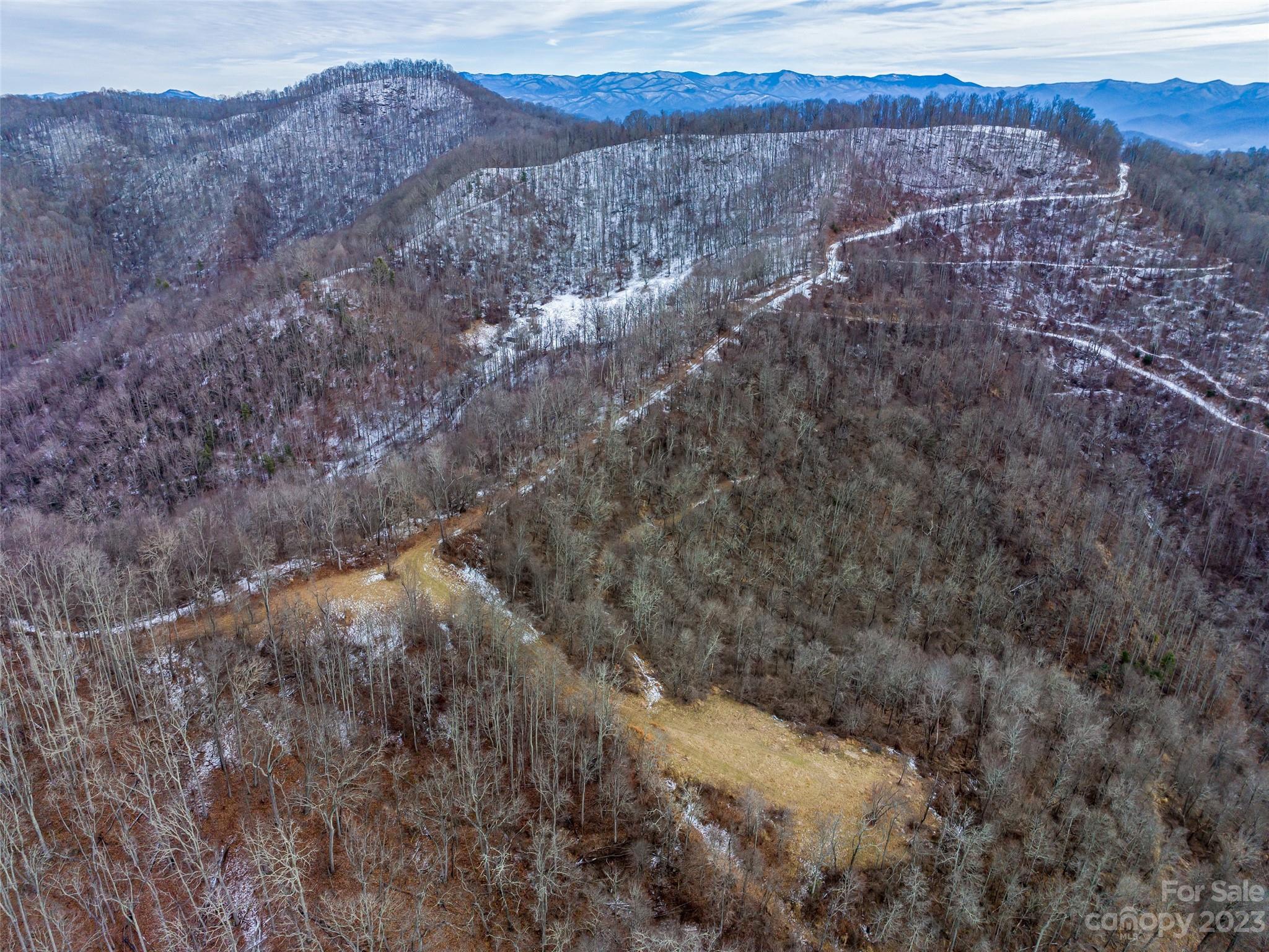 1592-1370 Bone Camp Road Marshall, NC 28753 - Photo 37 of 48