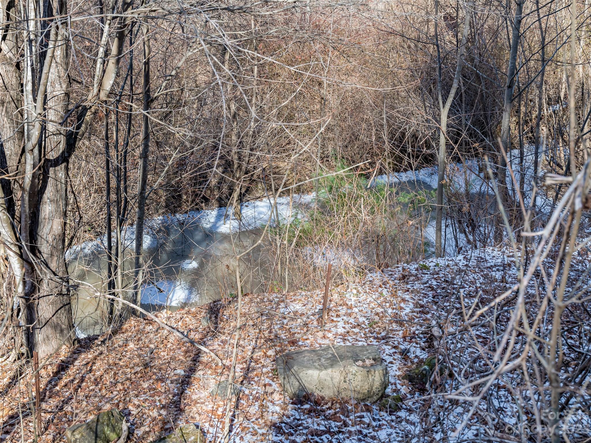 1592-1370 Bone Camp Road Marshall, NC 28753 - Photo 39 of 48