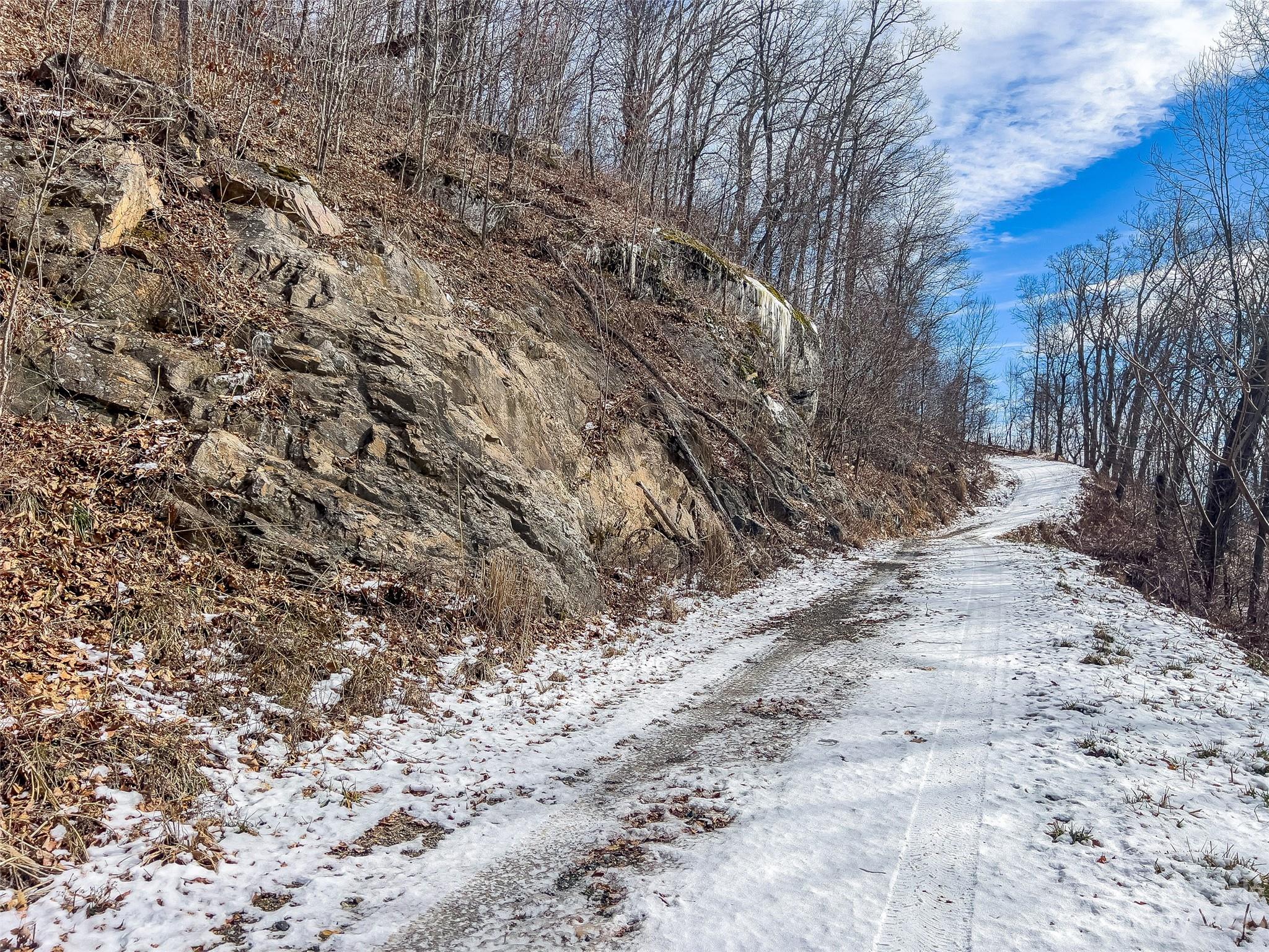 1592-1370 Bone Camp Road Marshall, NC 28753 - Photo 40 of 48