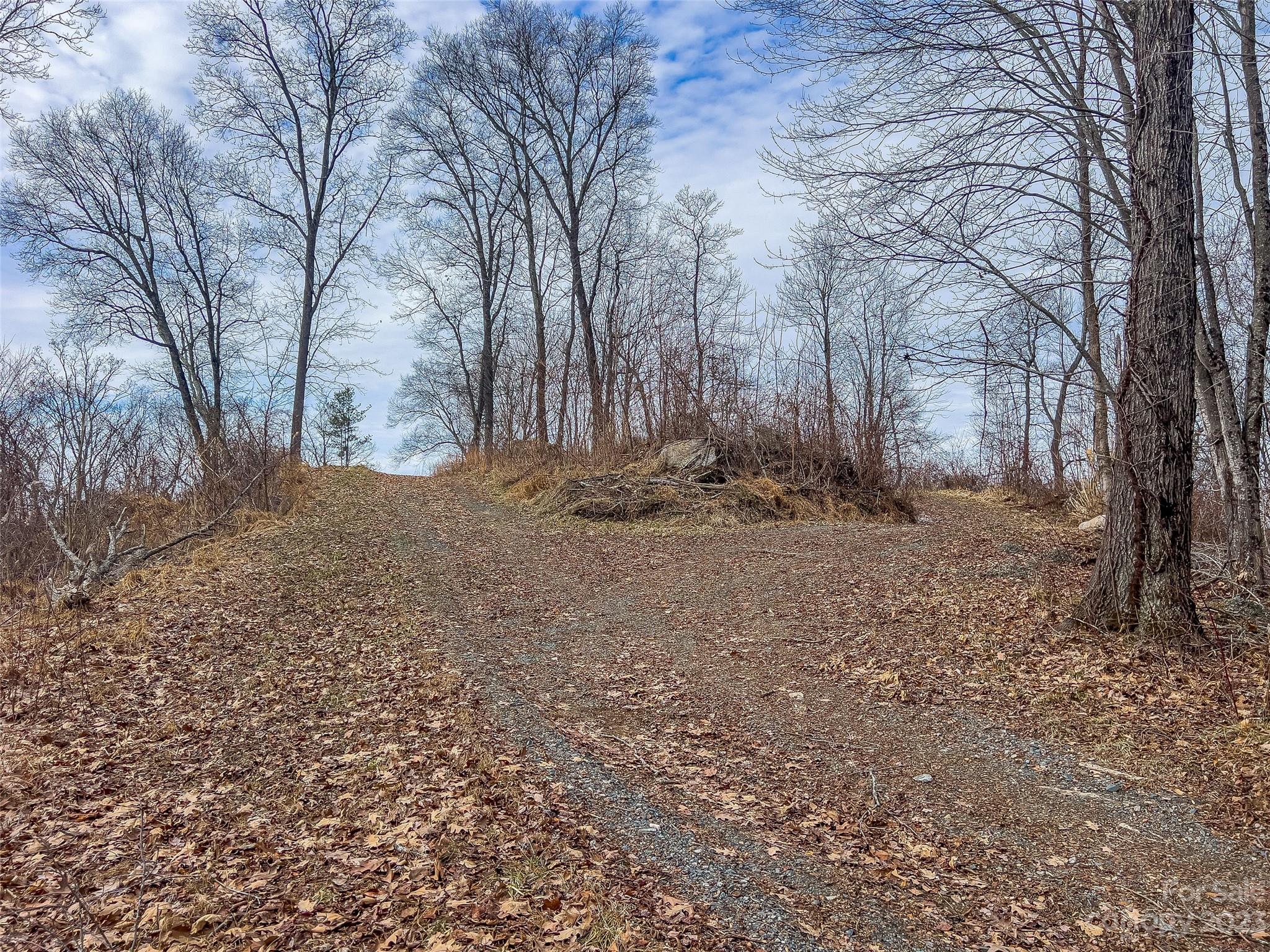 1592-1370 Bone Camp Road Marshall, NC 28753 - Photo 41 of 48