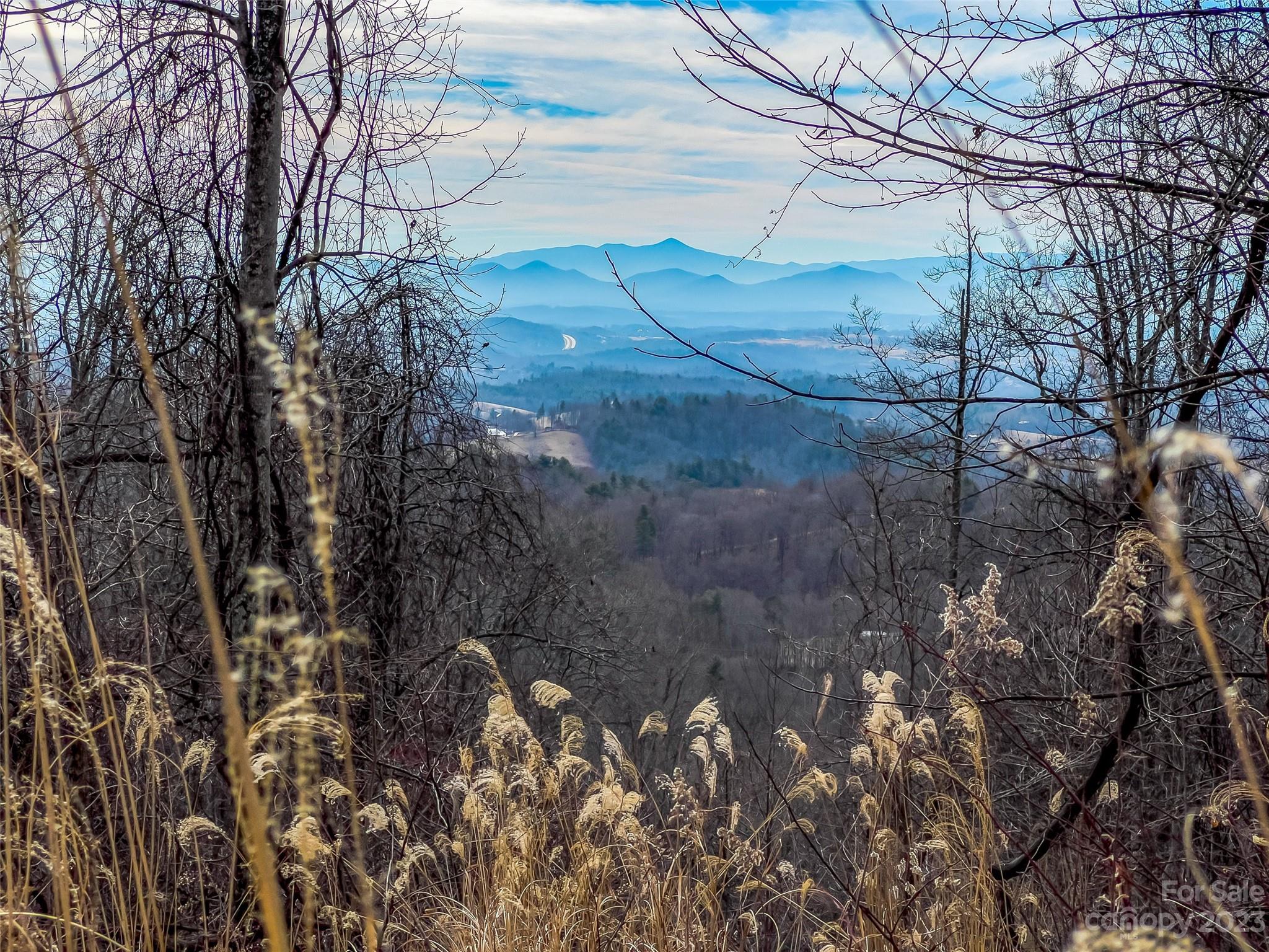 1592-1370 Bone Camp Road Marshall, NC 28753 - Photo 42 of 48