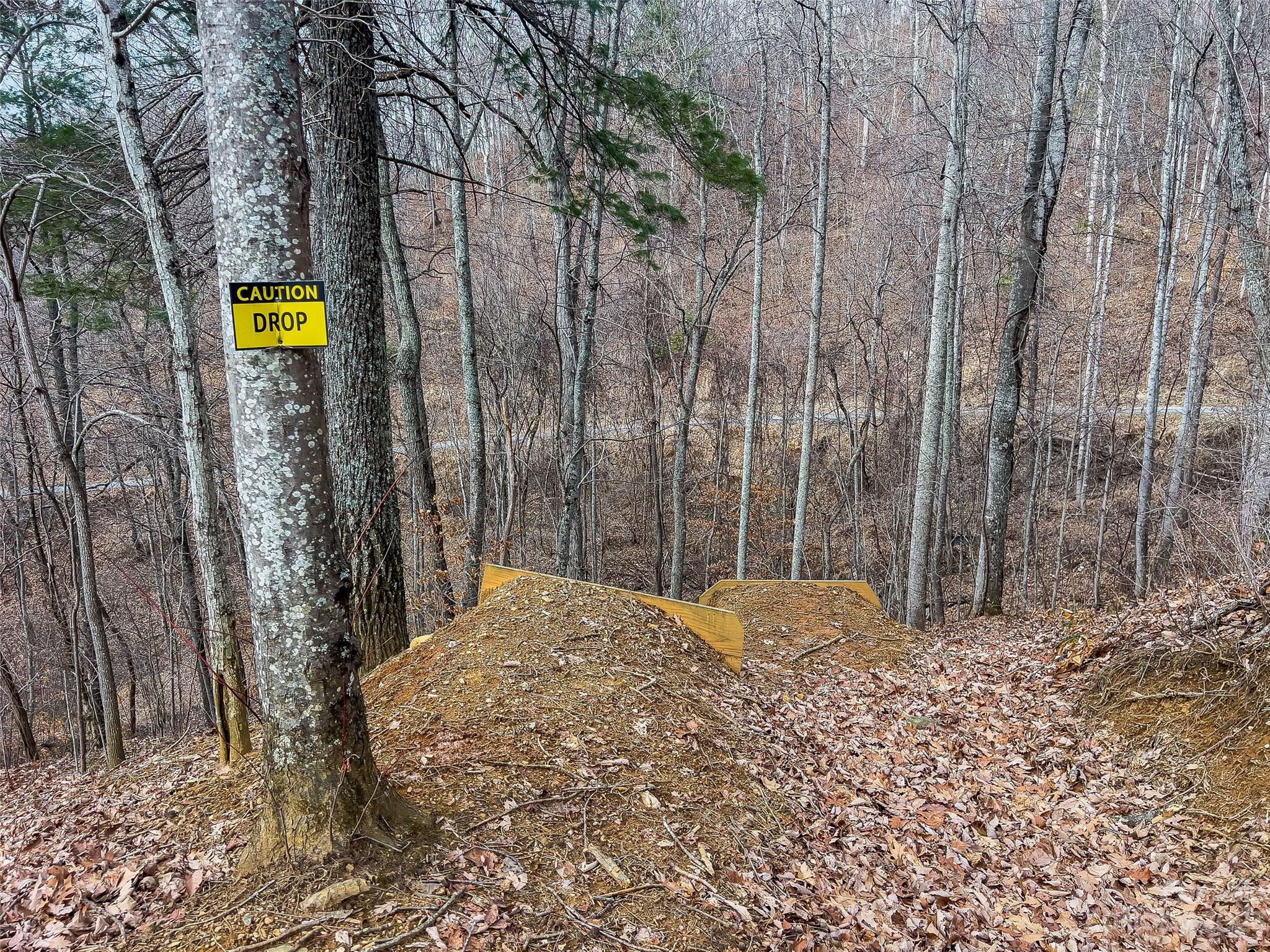 1592-1370 Bone Camp Road Marshall, NC 28753 - Photo 43 of 48