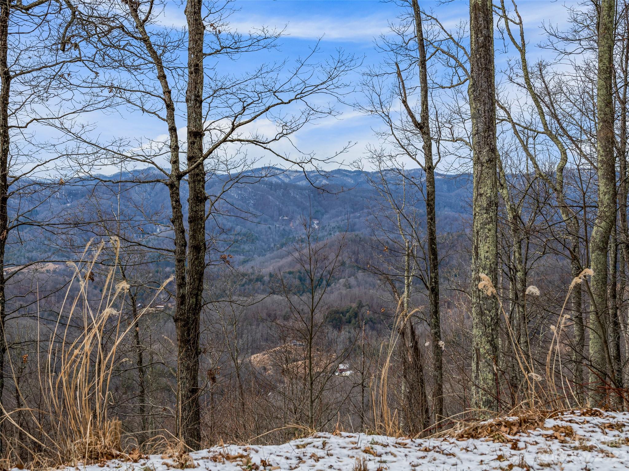 1592-1370 Bone Camp Road Marshall, NC 28753 - Photo 47 of 48