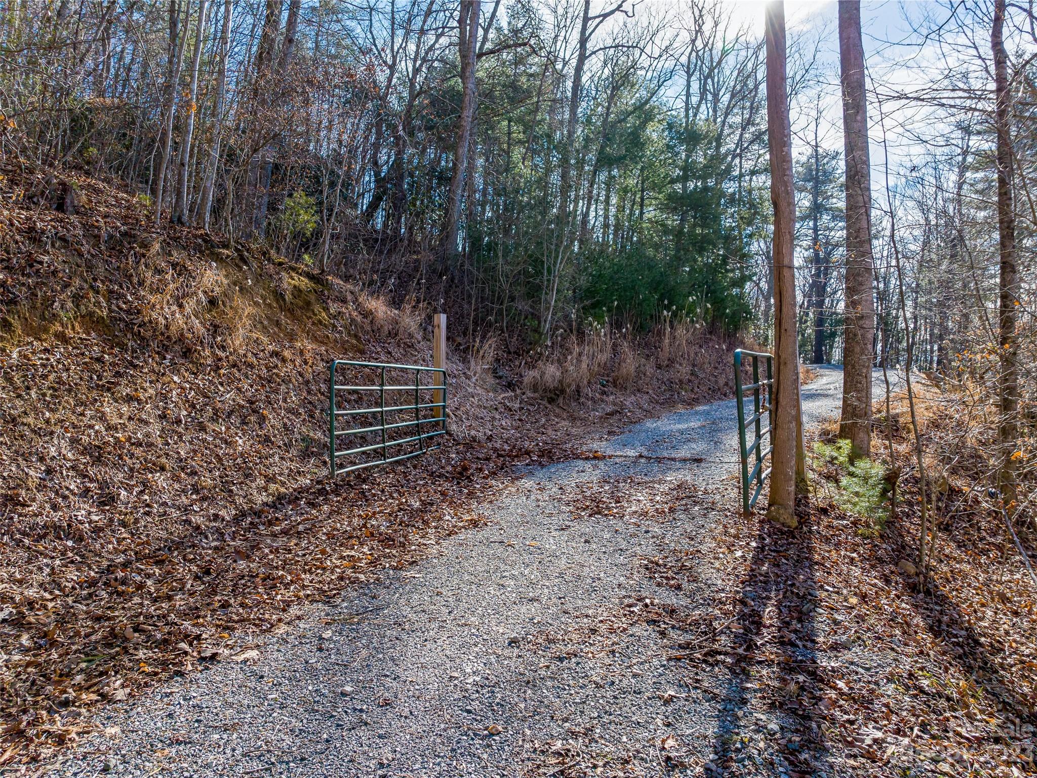 1592-1370 Bone Camp Road Marshall, NC 28753 - Photo 10 of 48