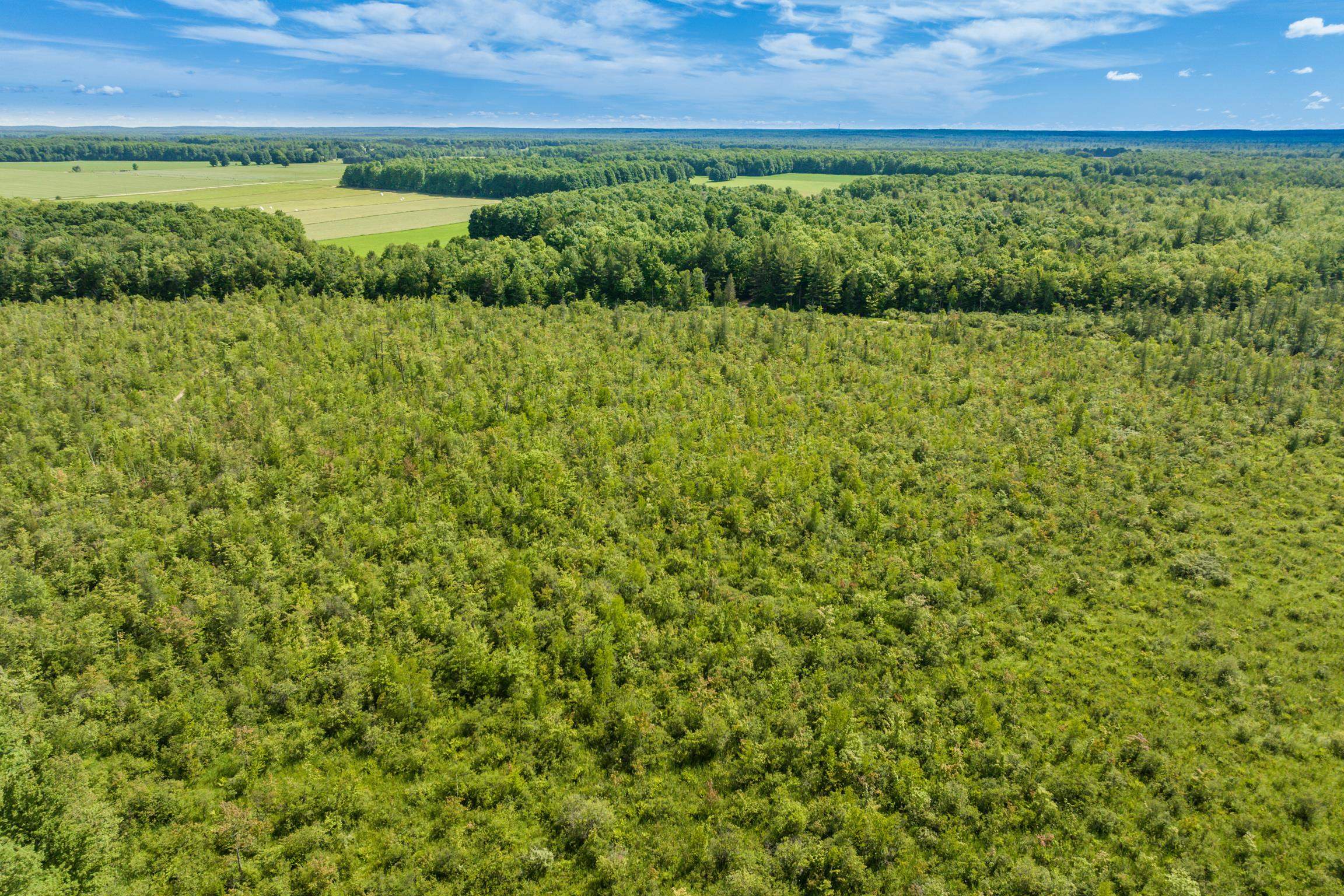 0 North Sharon Road Kalkaska, MI 49646 - Photo 16 of 18