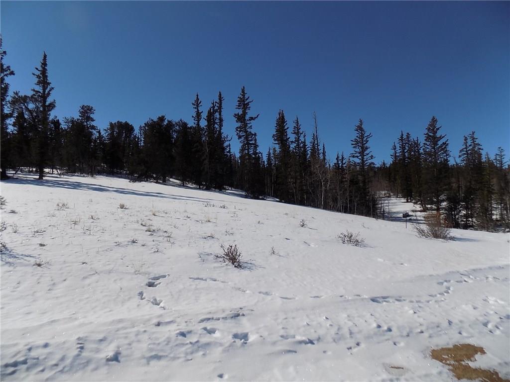 205 Long Rifle Way Como, CO 80432 - Photo 1 of 9 Gallery Image 1