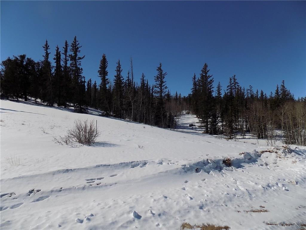 205 Long Rifle Way Como, CO 80432 - Photo 6 of 9 Gallery Image 6