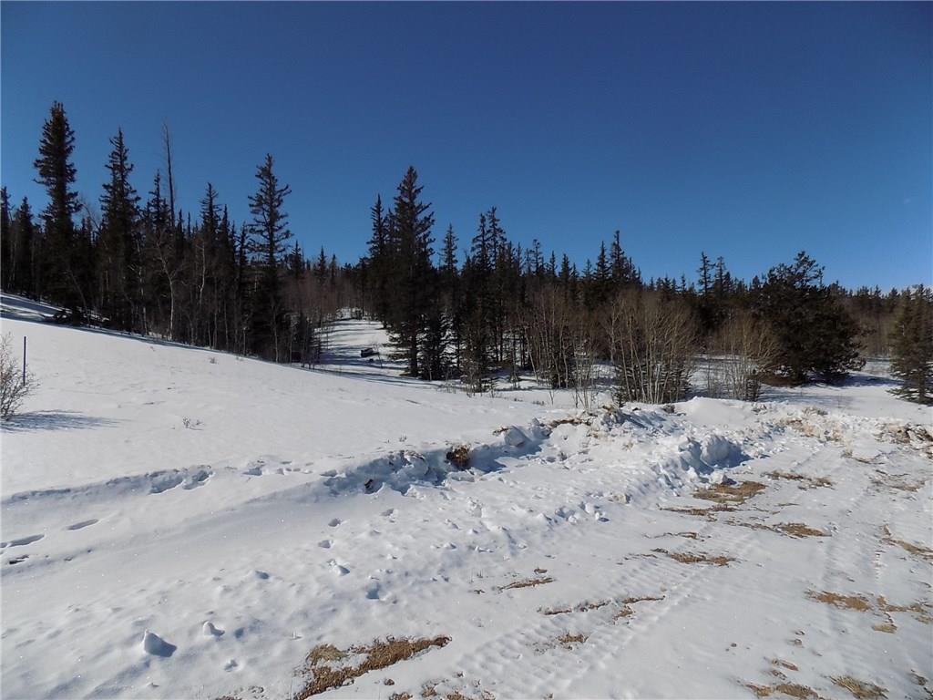 205 Long Rifle Way Como, CO 80432 - Photo 7 of 9 Gallery Image 7