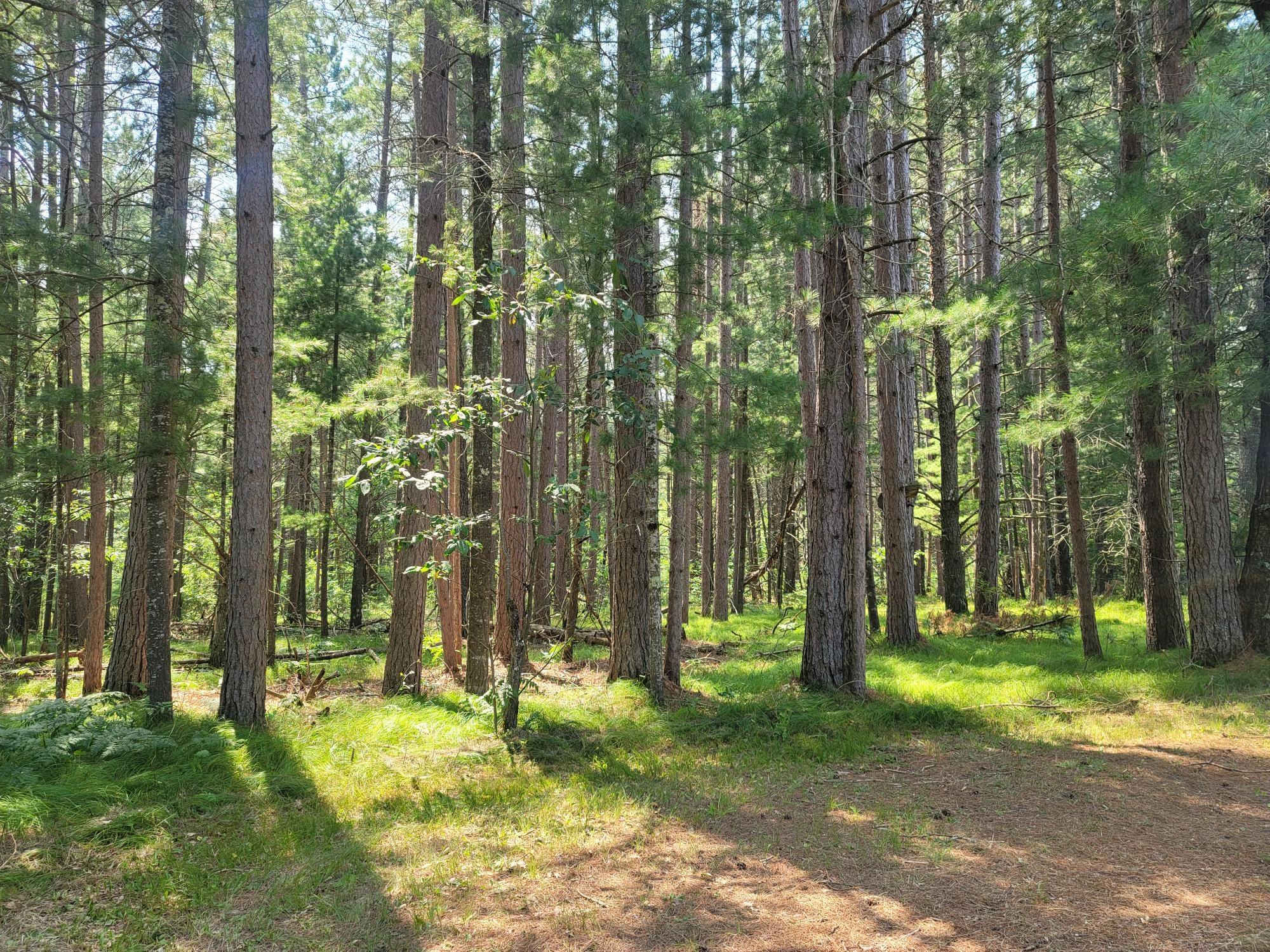 Off Blue Lake Road Minocqua, WI 54548 - Photo 8 of 10 Gallery Image 8