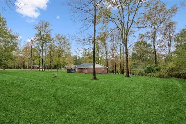 a view of a park with large trees