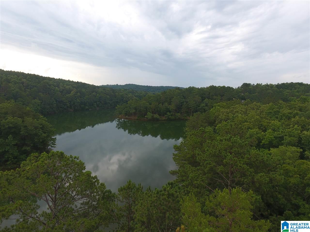 2811 County Road, Unit 14 Lineville, AL 36266 - Photo 1 of 5