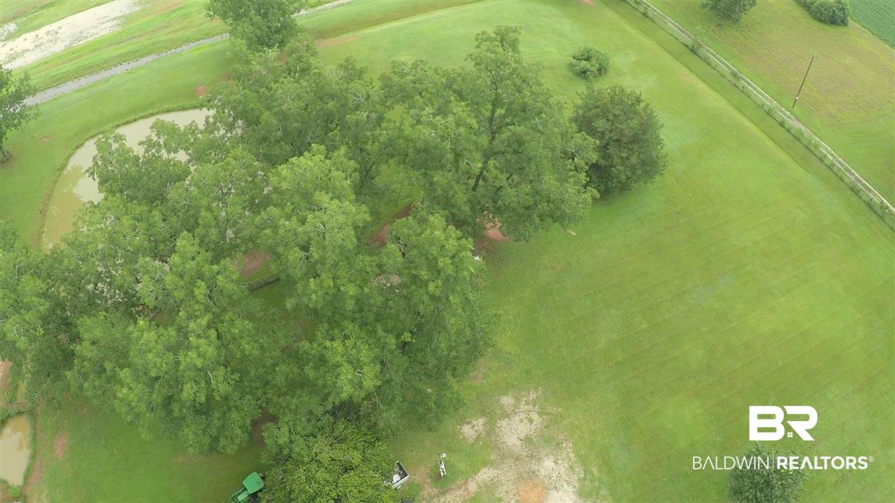 8477 County Road 64 Daphne, AL 36526 - Photo 13 of 19