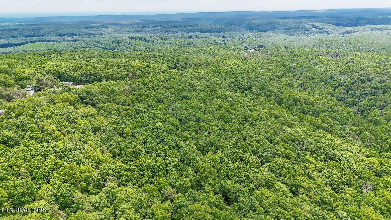 1407 Holloway Ridge Road Spring City, TN 37381 - Photo 20 of 60 140722