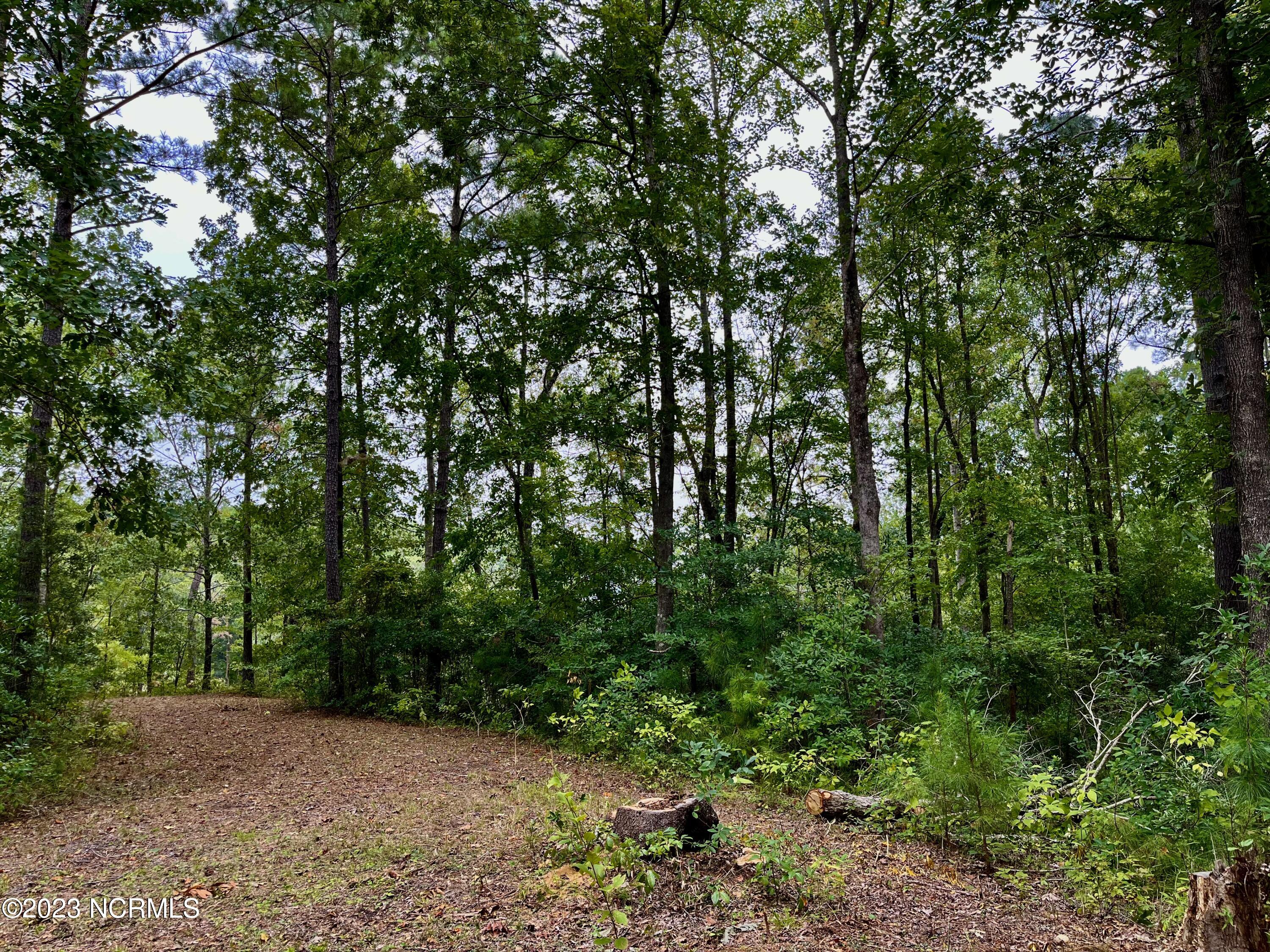 158 Fisher Turnpike Road Arapahoe, NC 28510 - Photo 11 of 27 Lot